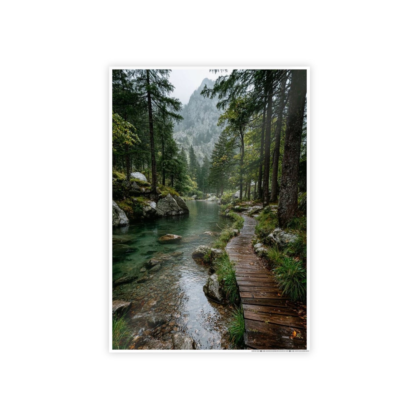 Nature Trail Gloss Poster | Wall Art Decor, Home Aesthetic, Gift for Nature Lovers, Living Room Wall Art, Eco-Friendly Decor