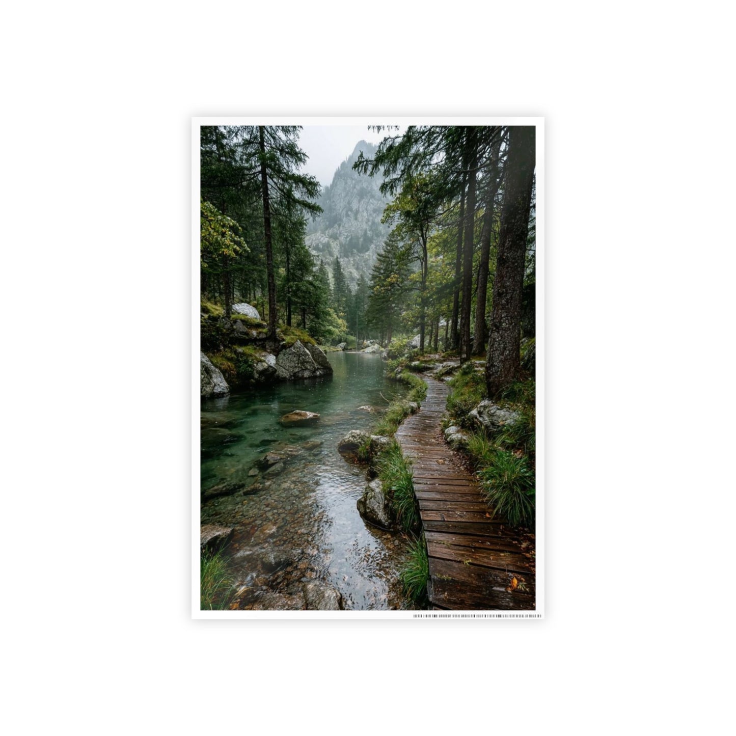 Nature Trail Gloss Poster | Wall Art Decor, Home Aesthetic, Gift for Nature Lovers, Living Room Wall Art, Eco-Friendly Decor